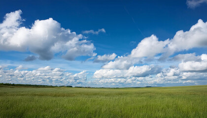Obraz premium Blue sky and white clouds prairie