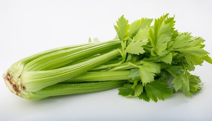 Celery on white background. Celery Isolated.