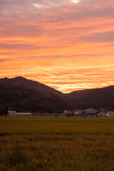 Obraz premium 明け方の空