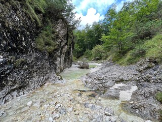 The Suhi potok Stream or Dry Creek in Zadnja Trenta, Bovec (Triglav National Park, Slovenia) - Der Bach Suhi potok in Zadnja Trenta (Triglav-Nationalpark, Slowenien) - Suhi potok (desni pritok Vrsnika
