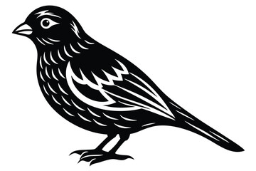 creative bird silhouette vector illustration.eps