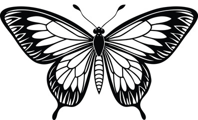 Drawing stencil butterfly art.eps