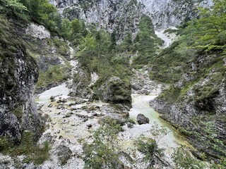 The Suhi potok Stream or Dry Creek in Zadnja Trenta, Bovec (Triglav National Park, Slovenia) - Der Bach Suhi potok in Zadnja Trenta (Triglav-Nationalpark, Slowenien) - Suhi potok (desni pritok Vrsnika