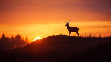Naklejka premium A striking buck stands on a small hill, illuminated by the vivid glow of a sunset. The gradient sky and greens of grass create a breathtaking backdrop