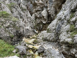 The Suhi potok Stream or Dry Creek in Zadnja Trenta, Bovec (Triglav National Park, Slovenia) - Der Bach Suhi potok in Zadnja Trenta (Triglav-Nationalpark, Slowenien) - Suhi potok (desni pritok Vrsnika