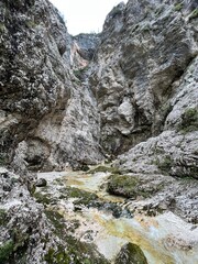 The Suhi potok Stream or Dry Creek in Zadnja Trenta, Bovec (Triglav National Park, Slovenia) - Der Bach Suhi potok in Zadnja Trenta (Triglav-Nationalpark, Slowenien) - Suhi potok (desni pritok Vrsnika