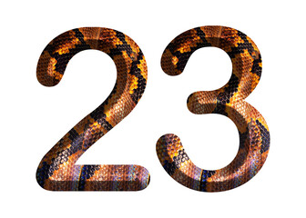 23, number shape with snake skin motif design, python skin