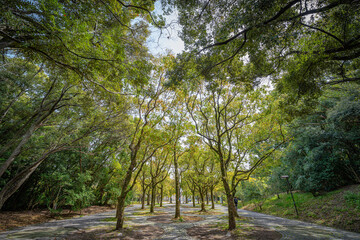公園