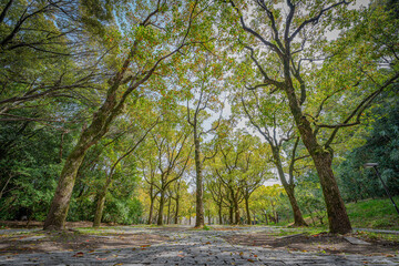 公園