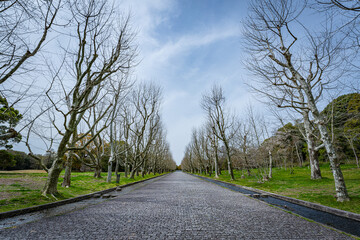公園