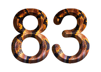 83, number shape with snake skin motif design, python skin.