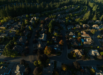 Fototapeta premium A residential area with houses and trees