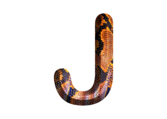 J, letter shape with snake skin motif design, python skin.