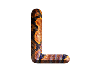 L, letter shape with snake skin motif design, python skin.