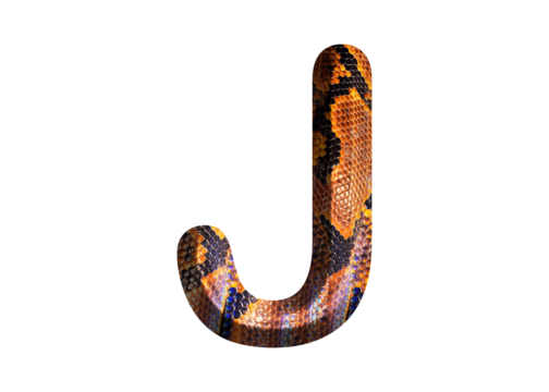 J, letter shape with snake skin motif design, python skin.