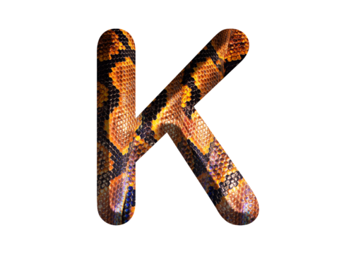 K, letter shape with snake skin motif design, python skin.