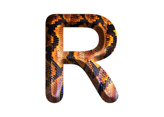 R, letter shape with snake skin motif design, python skin.
