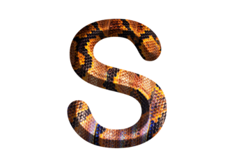 S, letter shape with snake skin motif design, python skin.