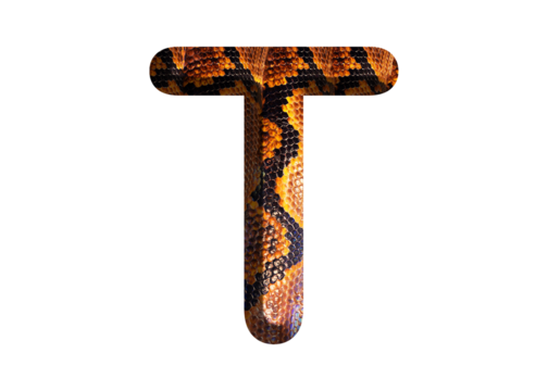 T, letter shape with snake skin motif design, python skin.