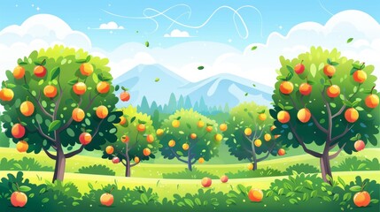 Fototapeta premium A lush green field with orange trees and mountains in the background