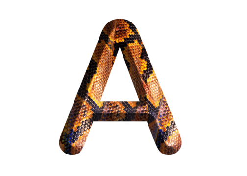 A, letter shape with snake skin motif design, python skin.