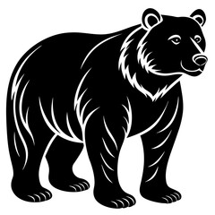 bear illustration