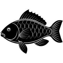 illustration of a fish