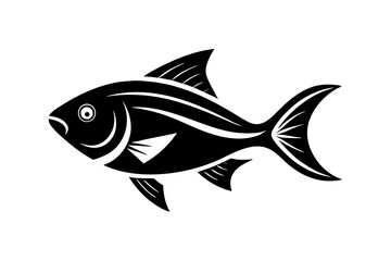 fish illustration