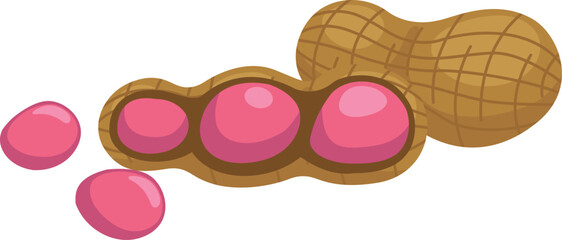 illustration of on nuts a white background