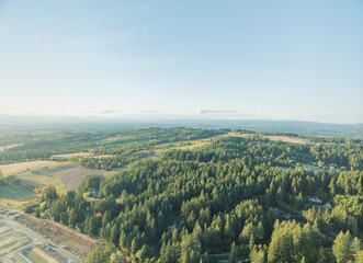 A beautiful view of a forest with a few houses in the distance