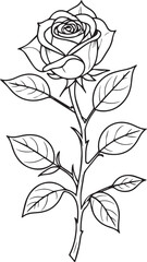 A vector illustration of a single elegant rose with curled rose leaves. 