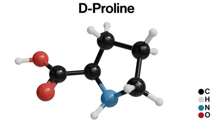 3D Illustration of the Chemical Structure of D-Proline: A Detailed Visualization of the Molecular Arrangement in a Clean White Background
