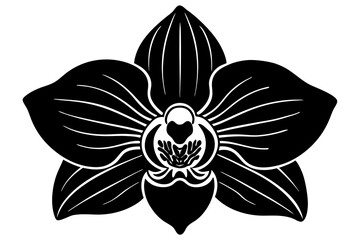  vanda  flower  silhouette vector, vanda icon illustration