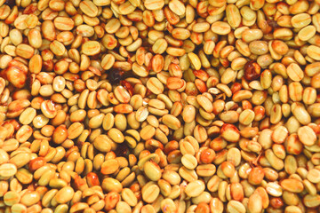 Coffee beans,In the ferment and wash method of wet processing