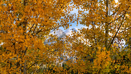 Fall colors and autumn in Rocky Mountain National Park, Colorado. Estes Park, Colorado.
