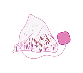 Dried triangular berries tea bag