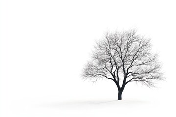 Obraz premium A minimalist representation of a tree, isolated on white, with a clean and modern aesthetic