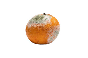 Aging Moldy Orange Close-Up Texture
