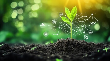 Growth and Technology