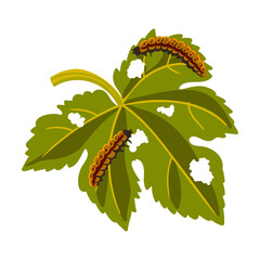 vector drawing caterpillars at green leaf , cutworms isolated at white background, garden pest, hand drawn illustration