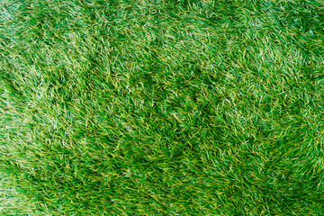 grass texture, ground texture, green background