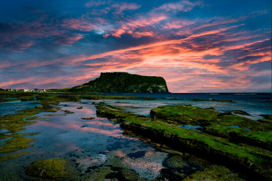 Green sea moss on the rock of Gwangchigi Beach with the background of Seongsan Ilchulbong Tuff Cone near Seogwipo-si, Jeju Island, Korea
