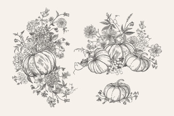 Pumpkin and flower set. Floral arrangements. Engraving style. Black and white.