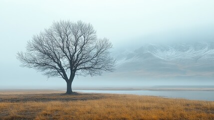 Fototapeta premium A lone dead tree stands in the haunting landscape, symbolizing the fragility of life in a warming world.