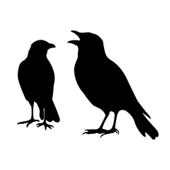 Bird Silhouettes 