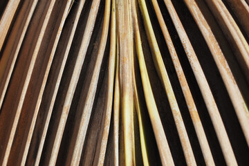 Dry palm leaf outdoor for background. Close-up. .