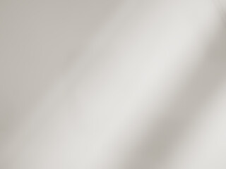 Beige backgrund autumn summer overlay abstract sun shadow leaf white gradient color blur room cement floor wall backdrop mockup product beauty cosmetic presentation minimal empty card tropical.