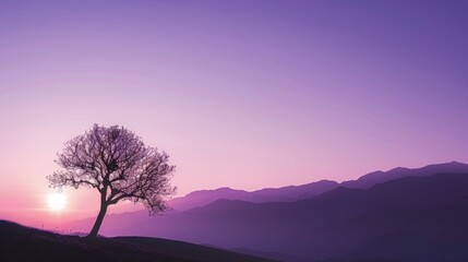 Silhouette of a Tree at Sunset