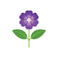  Heliotrope flower isolated flat vector illustration on white background.