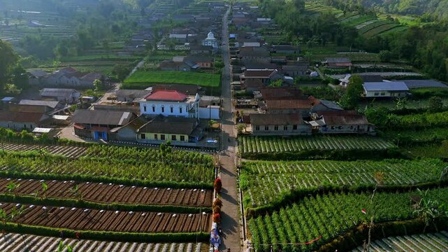 Reveal drone shot of beautiful village on the slope of Merapi Volcano, Indonesia. Rural landscape of countryside and plantation with volcano on the background. 4K drone footage.